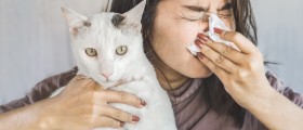 Can I Still Have A Pet if I Am Allergic? Ways To Relive Pet Allergy